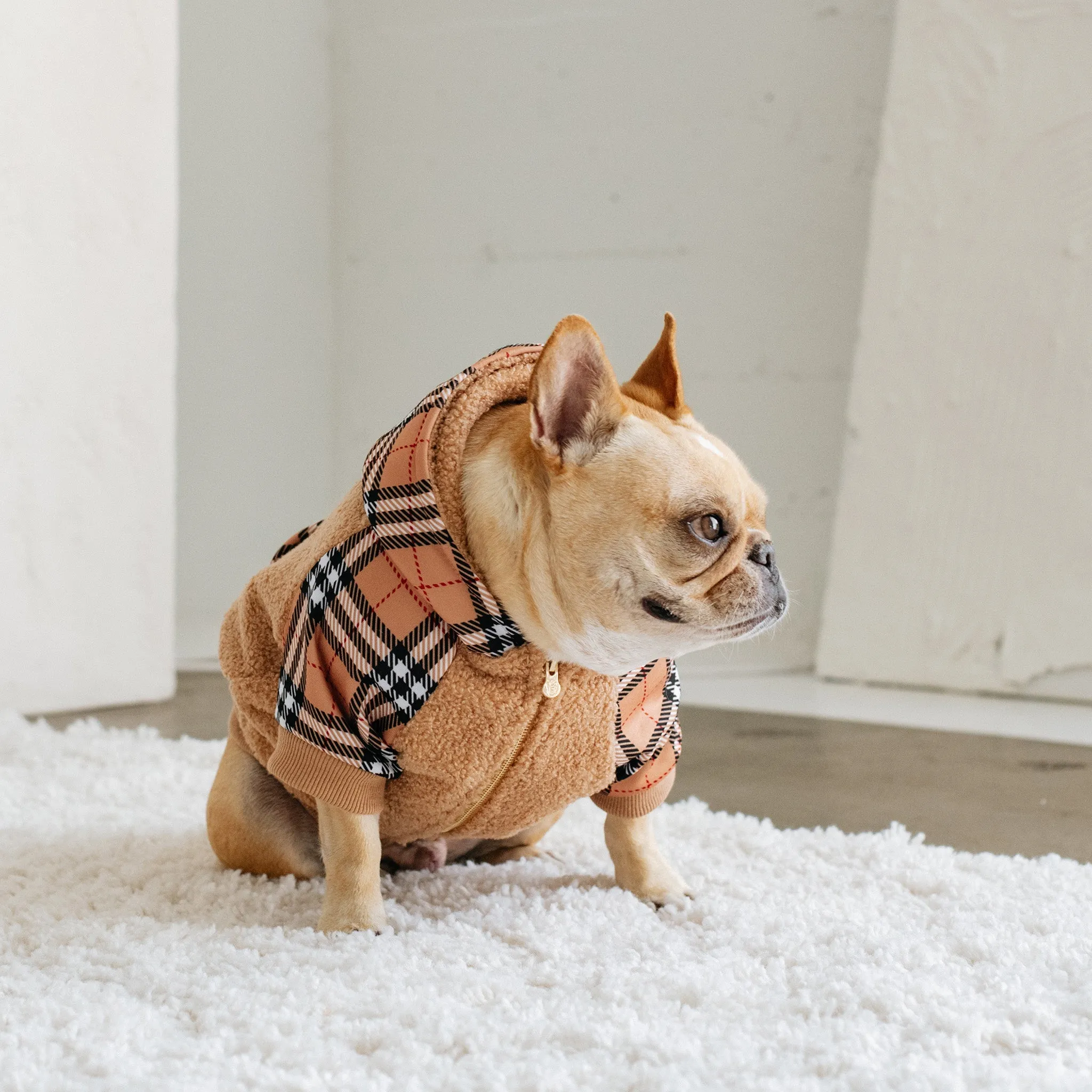 Frenchie Dog Hoodie - Tan Tartan