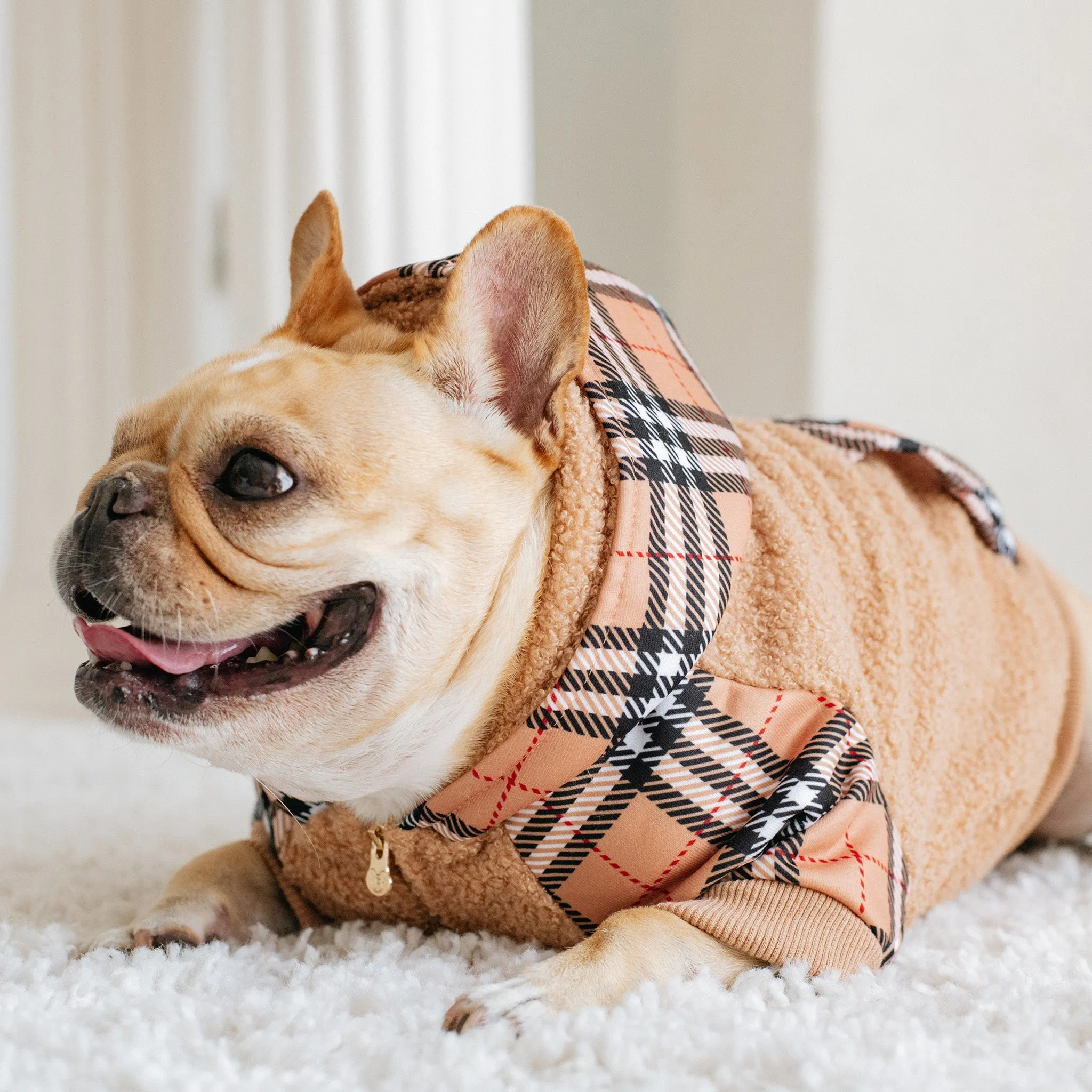 Frenchie Dog Hoodie - Tan Tartan