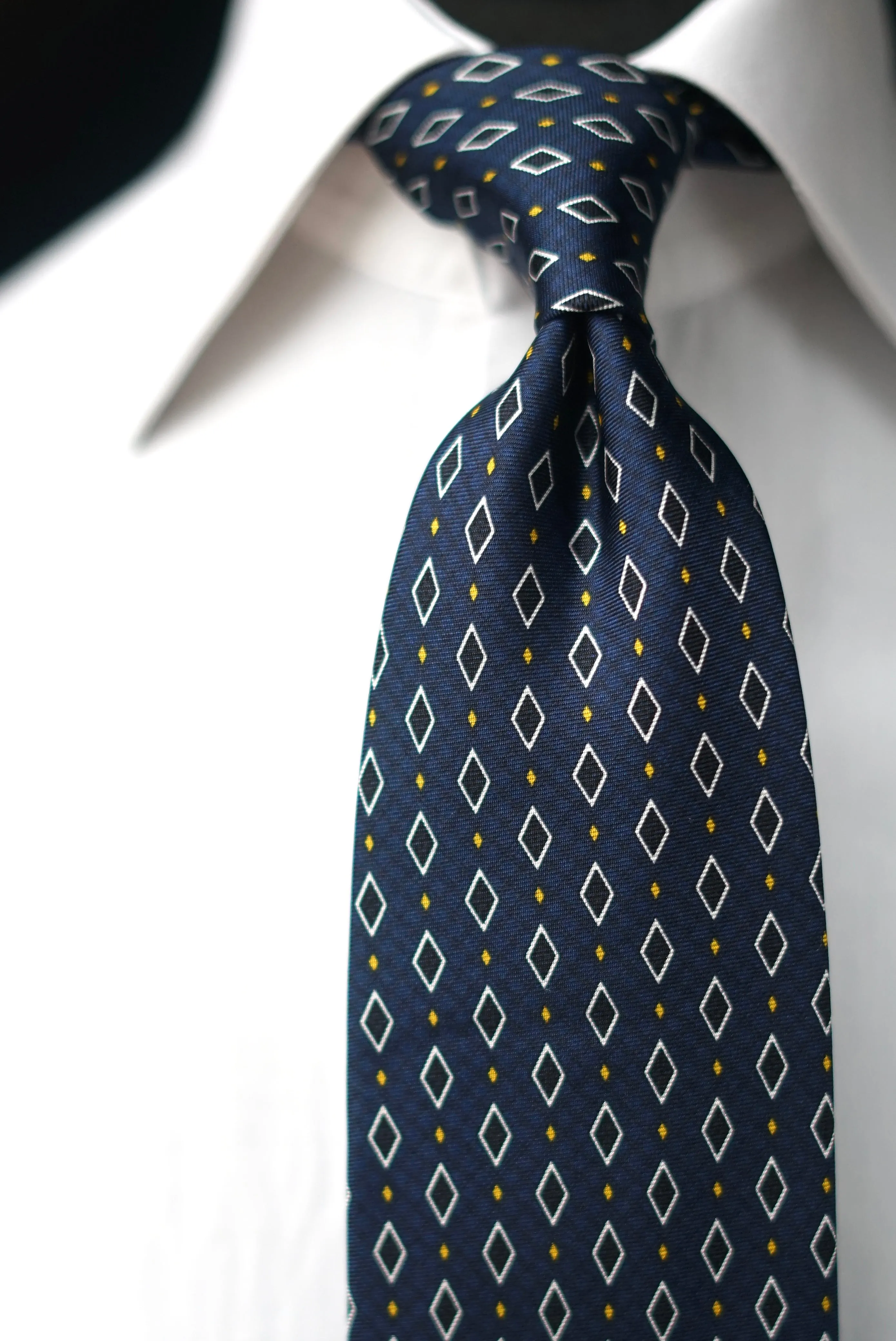 Monica Retro Tie Silk Necktie